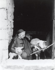 Little Sister Magdeleine Little Sister Magdeleine