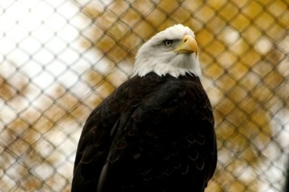 At Magnetic Hill Zoo in Moncton, Canada