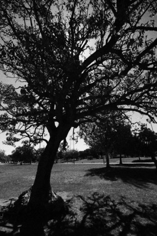 At Jardim de Belém in Lisbon, Portugal