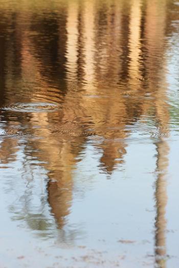At Banteay Srei in Cambodia