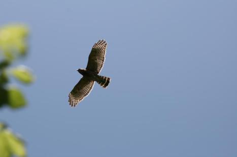 In Bexar County, Texas, USA