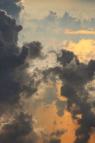 11895124_10152941278711673_6601510852447422689_o