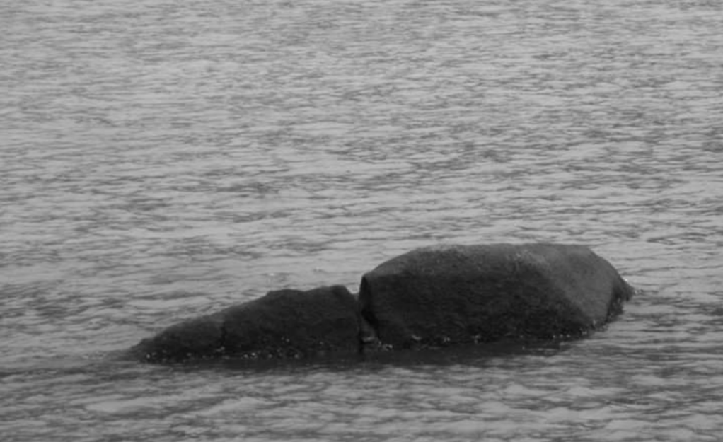 Who Speaks and is Not&nbsp;Heard?