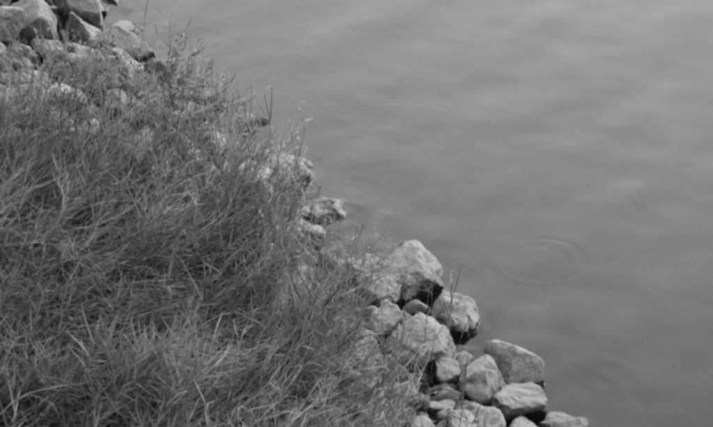 Our Family Tree, Our Common Home, Our House&nbsp;Rules