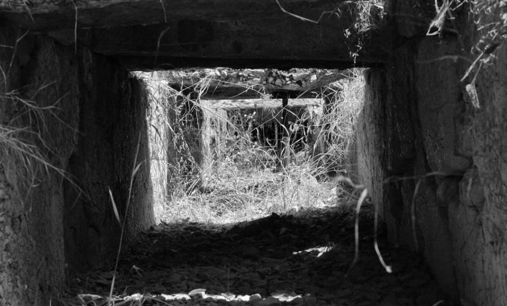 The Muddied Resident of 38 Jeremiah&nbsp;Street