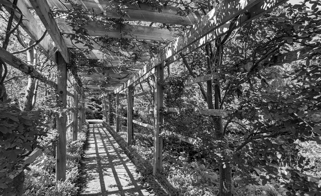 Fruitfulness over Results