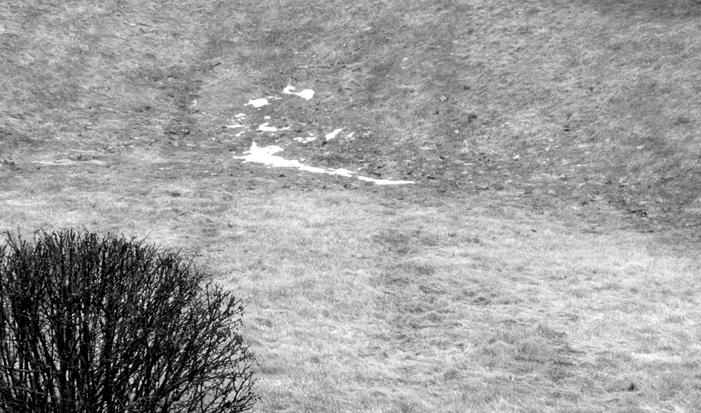 The Last Patch of&nbsp;Snow