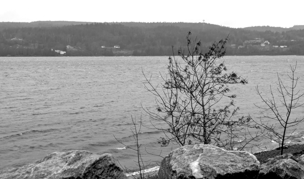 … Let the Earth Be Opened and Bring Forth a&nbsp;Saviour